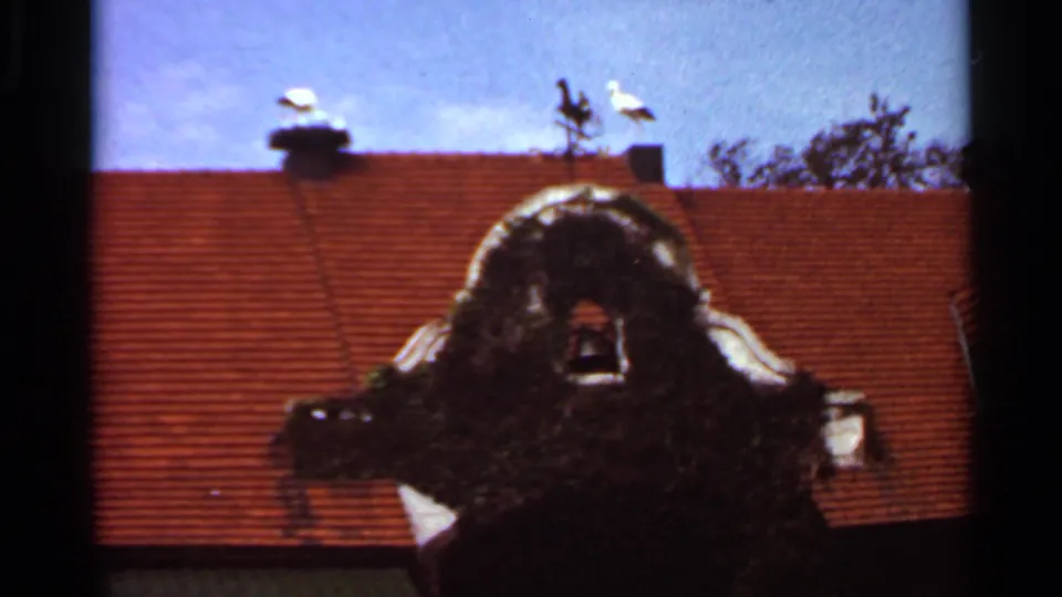 1966 Saint Louis 8mm frame showing a red tiled roof, dark ornate gable detail, chimney vent, and white birds near the roofline.