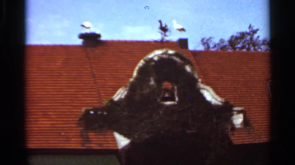1966 Saint Louis home-movie frame with red roof tiles, an ornate dark gable, pale blue sky, and a white bird along the roofline.