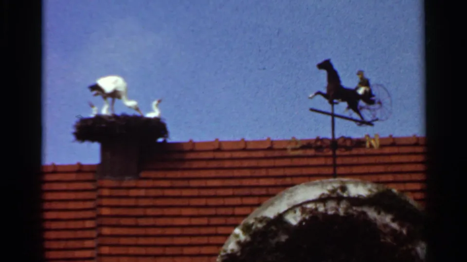 1966 Saint Louis home-movie frame with a rooftop stork nest display, horse weather vane, red roof tiles, and blue sky.
