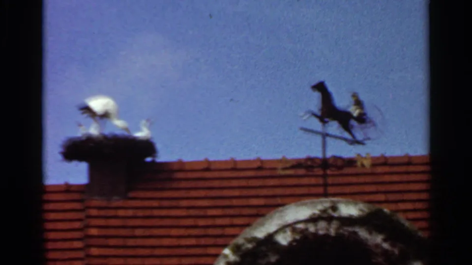 1966 Saint Louis home-movie view of a stork nest display and horse weather vane above a red-tiled zoo building roof.