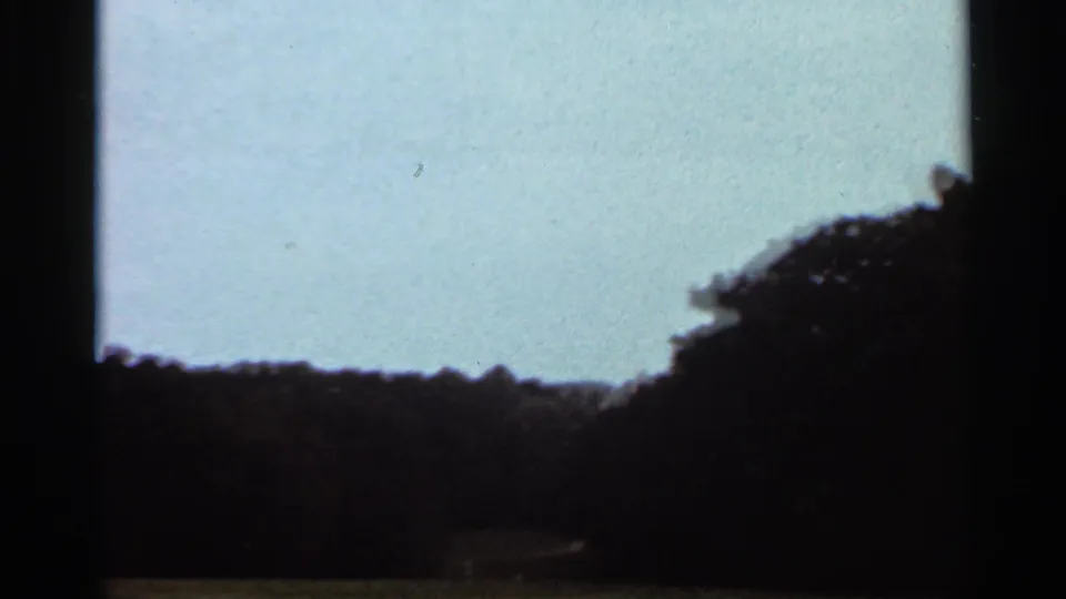 A brief 1966 Saint Louis home-movie view shows pale sky over a dark wooded tree line, shifting away from the elephant path scene.