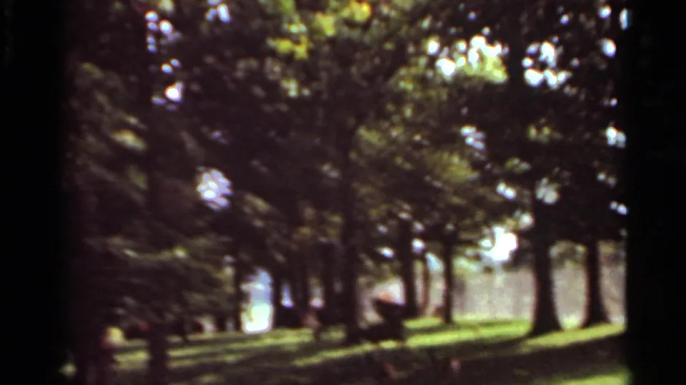 The closing 1966 Saint Louis frame shows a shaded wooded landscape with trees, grass, and bright patches beyond the trunks.