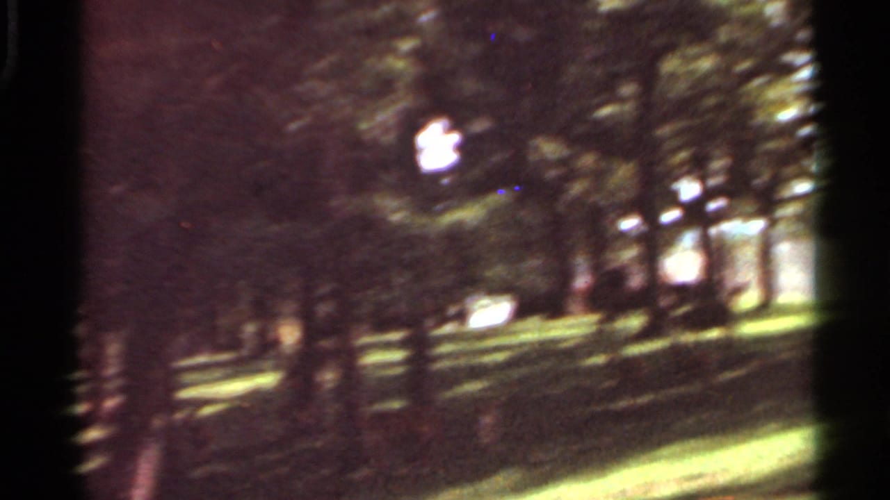 Soft 8mm view of trees and sunlit grass in a wooded clearing.
