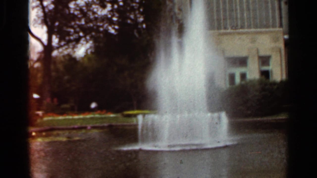Fountain spraying upward in a pond beside trees and a modern building.