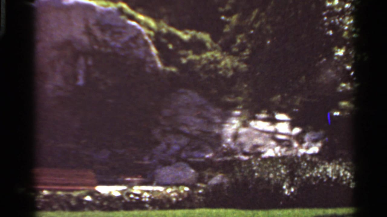 1966 Saint Louis home-movie frame showing a broad rock face bordered by trees, grass, low plants, and a bench.