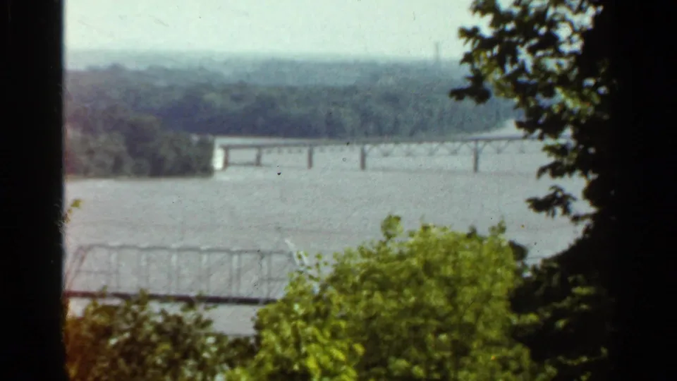 1966 Saint Louis view of a broad river and distant bridge spans, filmed from a leafy overlook.