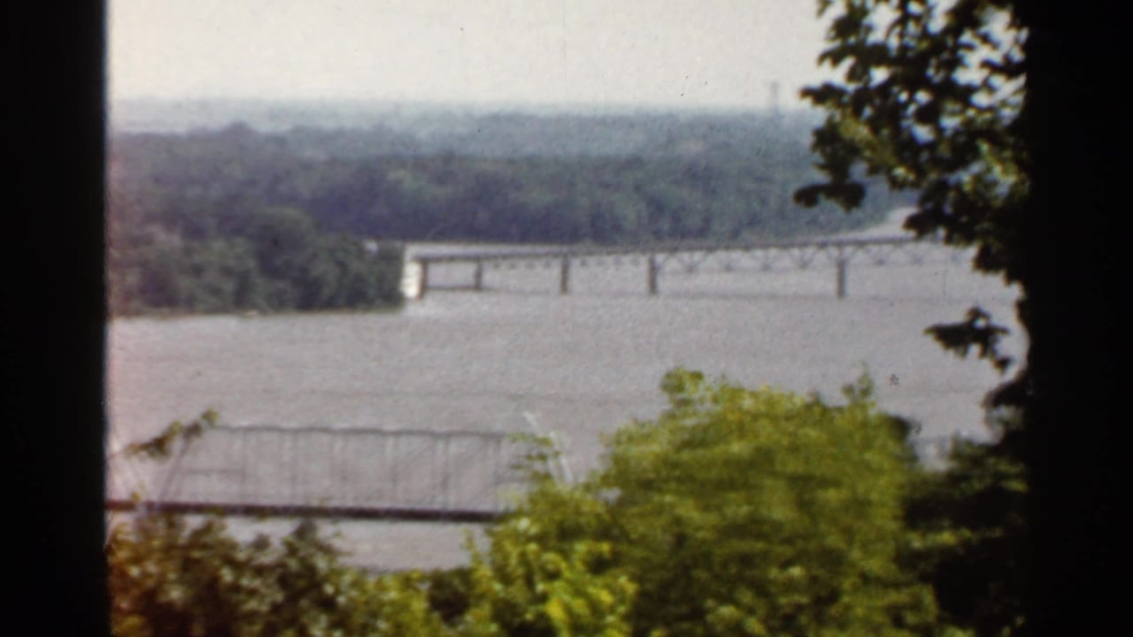Wide river view with a distant bridge, wooded banks, and leafy foreground framing.