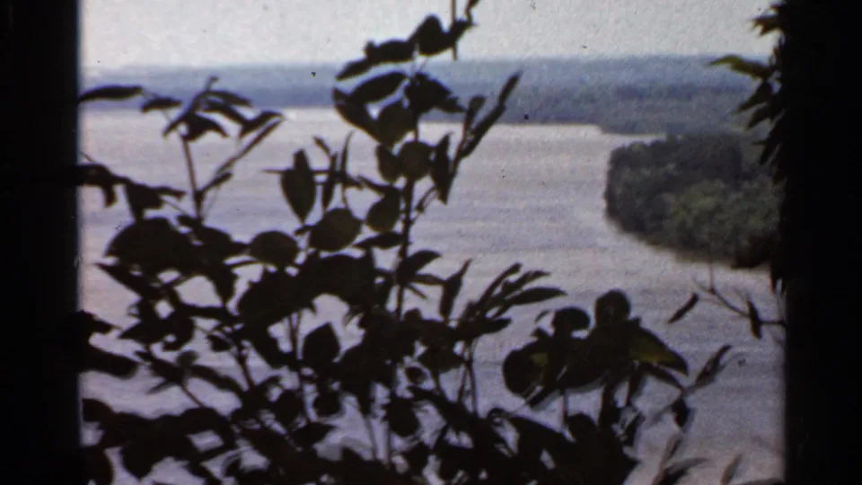 1966 home-movie view near Saint Louis, Missouri, looking past foreground foliage toward a river bend and wooded banks.