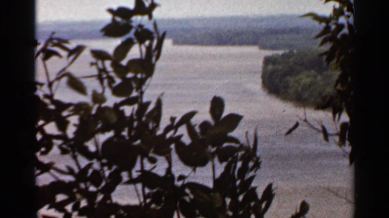 Wide river seen from an elevated overlook, framed by dark leaves and a central vertical trunk or post.