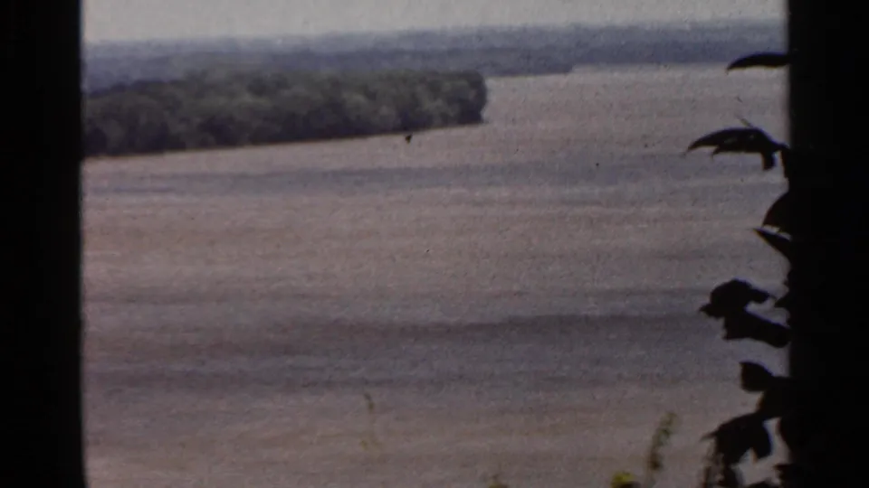 A muted 8mm river landscape near Saint Louis, Missouri, with a wooded shore receding into haze and leaves framing the view.