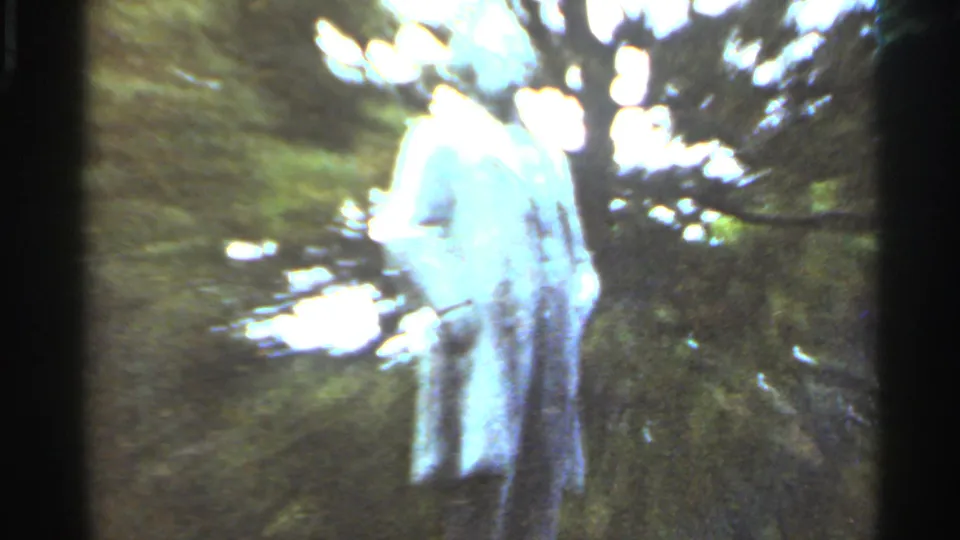 1966 Saint Louis home-movie frame of a historic-looking statue among trees near a riverfront overlook.