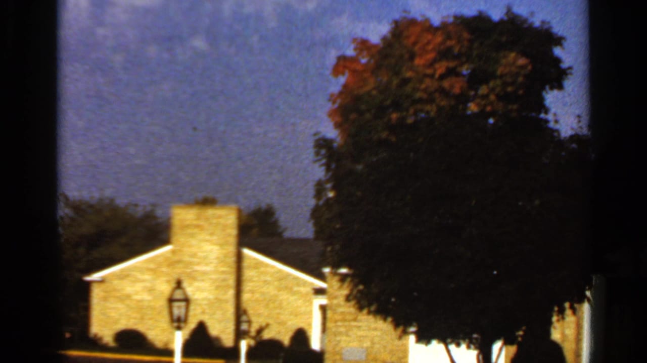 Brick house with chimney, yard lamp, and large autumn tree under cloudy sky.