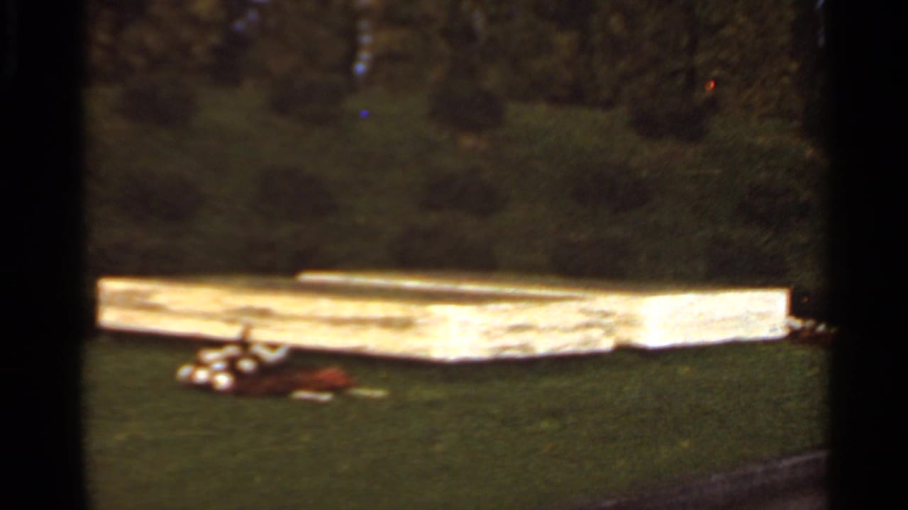 1966 Saint Louis home-movie frame showing a grassy area, a pale wooden structure or board, scattered small objects, and dark trees beyond.
