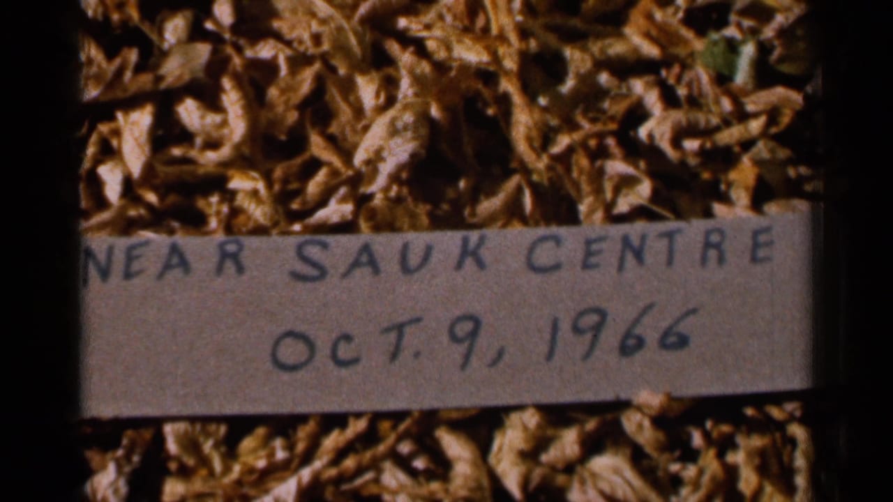 1966 8mm frame showing a handwritten Sauk Centre area date label laid over dry brown fall leaves.