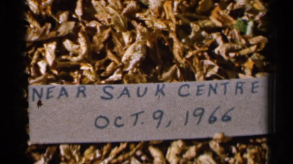 Dated Sauk Centre area home-movie label remains visible across dry autumn leaves in a warm 8mm frame.
