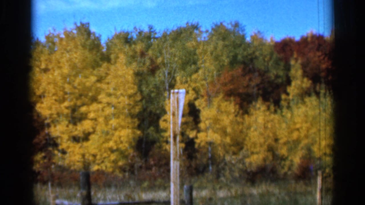 Yellow and red autumn trees behind fence posts under a clear blue sky.