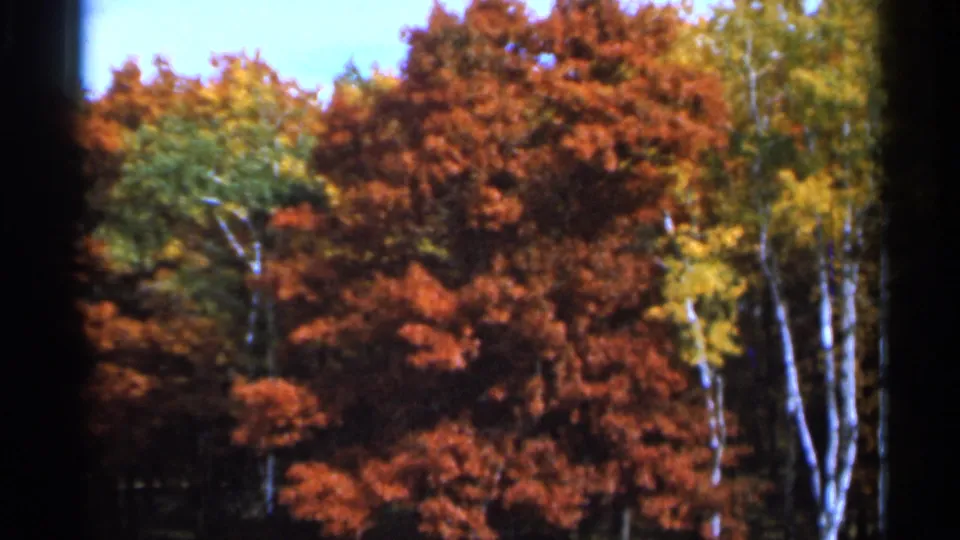 1966 Sauk Centre 8mm frame of red autumn trees, birch-like white trunks, yellow leaves, and soft home-movie color rendition.
