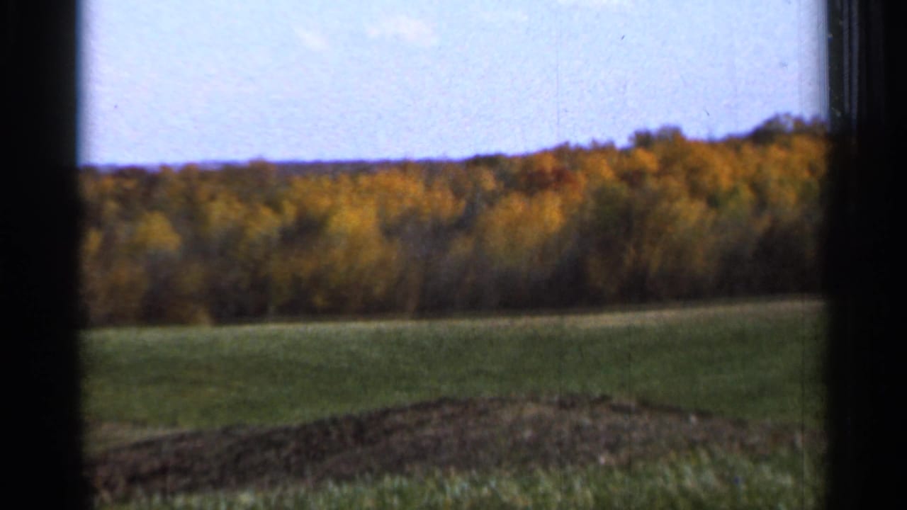 Green field and autumn tree line viewed through dark window framing.