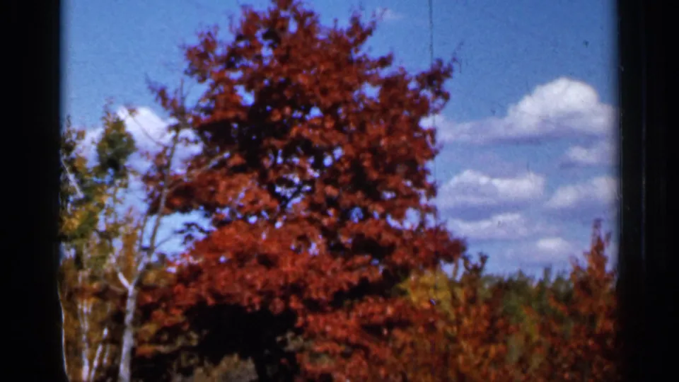 1966 Sauk Centre, Minnesota frame showing a red-orange fall tree, nearby green foliage, blue sky, and white clouds in a sunny rural setting.