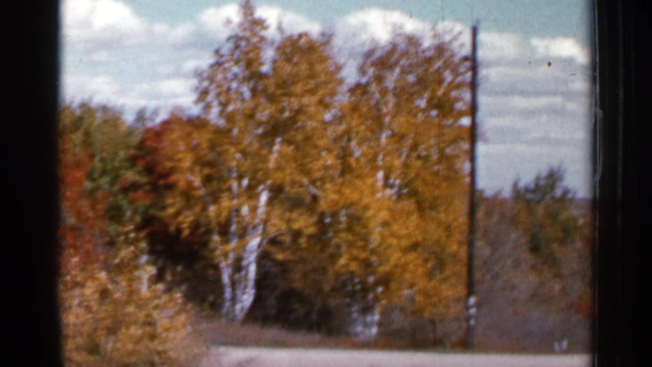 Golden roadside trees and utility pole against a cloudy blue sky.
