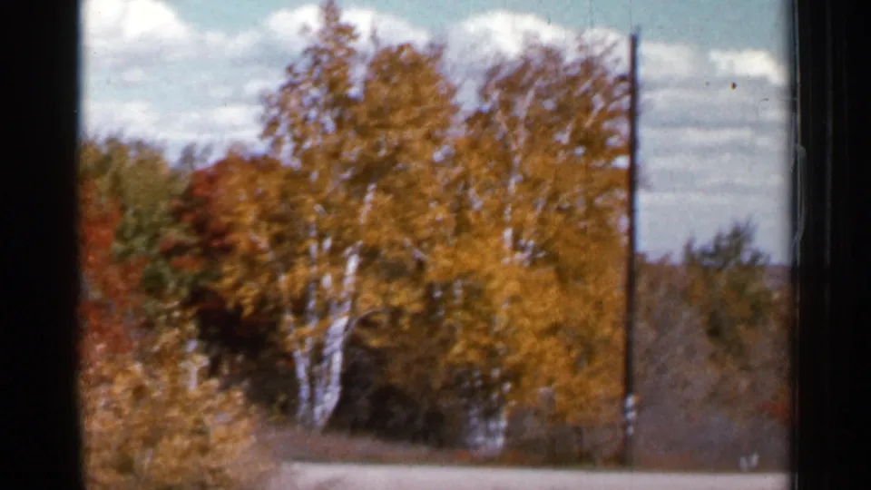 1966 Sauk Centre 8mm frame showing gold autumn trees, roadside brush, and a utility pole beneath a partly cloudy sky.