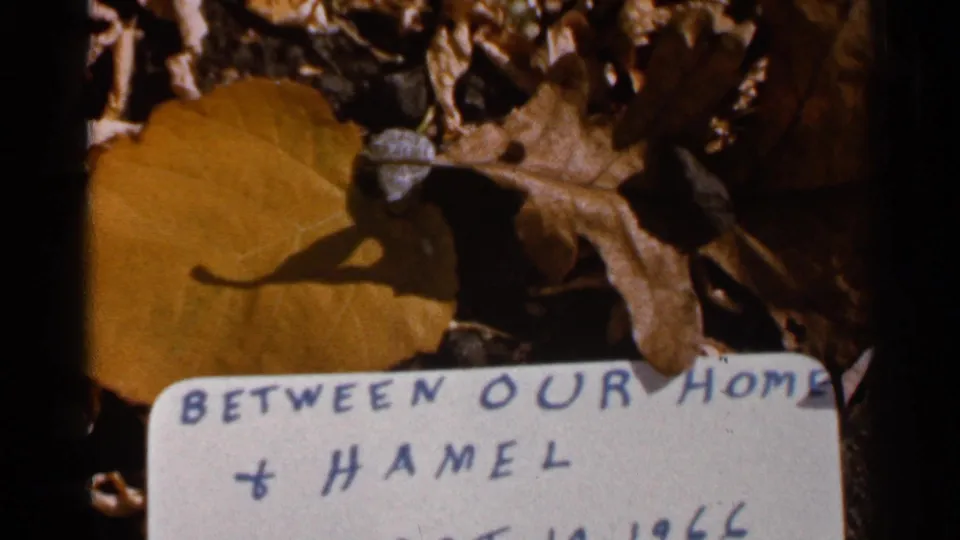 Close 1966 8mm view of fallen autumn leaves with a handwritten sign reading 'Between our home & Hamel' partly visible.