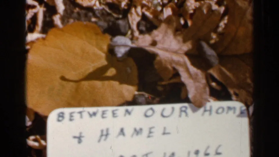 1966 8mm close-up of fallen leaves and a handwritten sign, with 'Between our home & Hamel' visible near the lower edge.