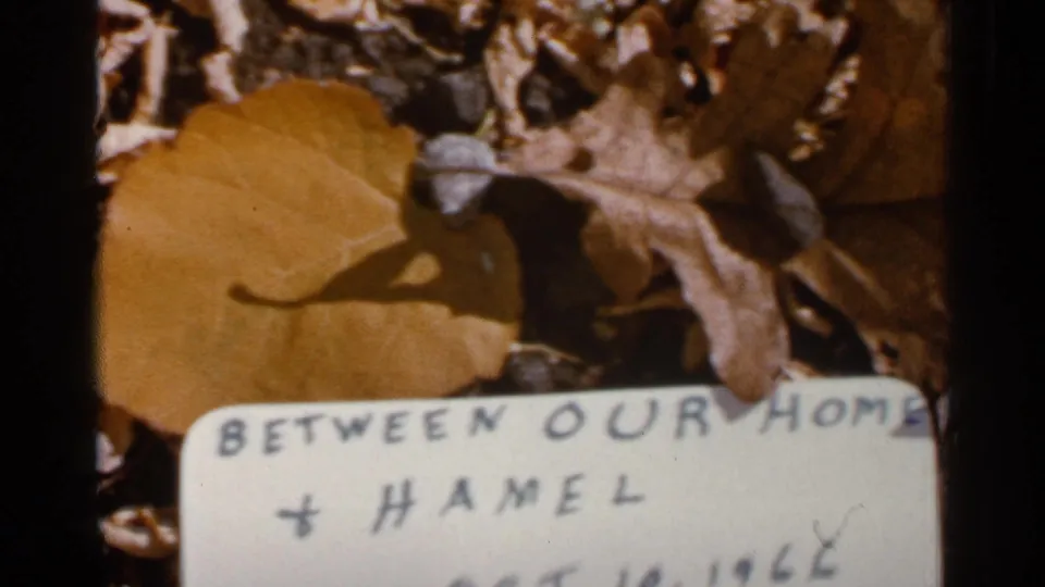 1966 Sauk Centre home-movie frame with dry leaves and a partially readable handwritten place card before the landscape sequence.