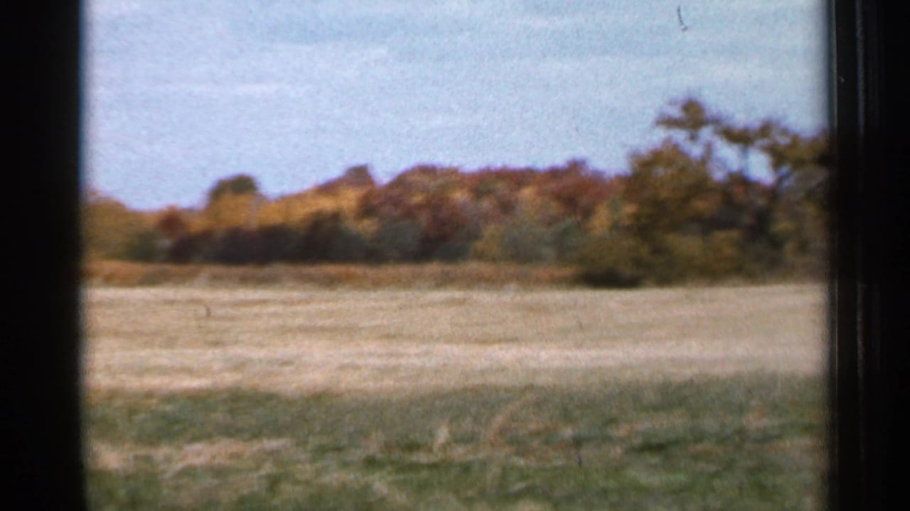 Open green field with a distant autumn tree line under a pale blue sky.
