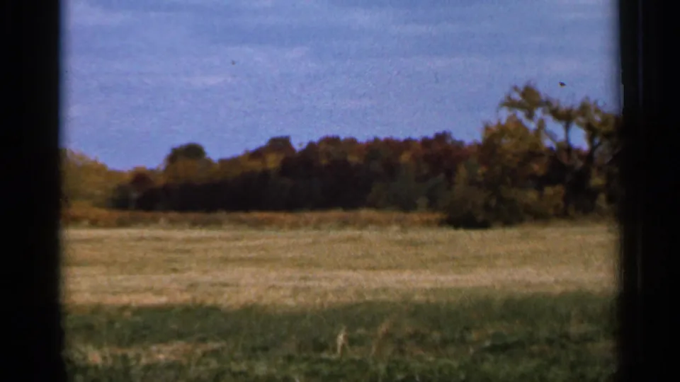 1966 Sauk Centre home-movie view of grassland and autumn woods, framed by dark edges from the camera or filming position.
