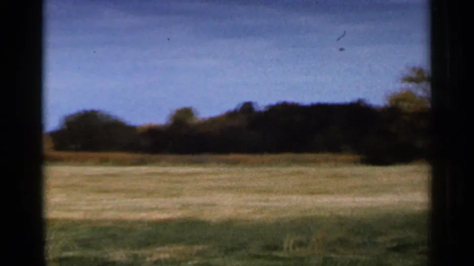 1966 Sauk Centre landscape frame with a broad field, darker wooded edge and blue sky rendered in soft 8mm home-movie color.