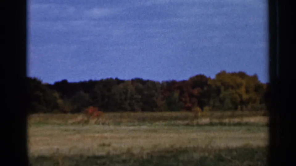 1966 Sauk Centre area landscape with an open field, wooded horizon, autumn color, and dark vertical framing from the camera position.