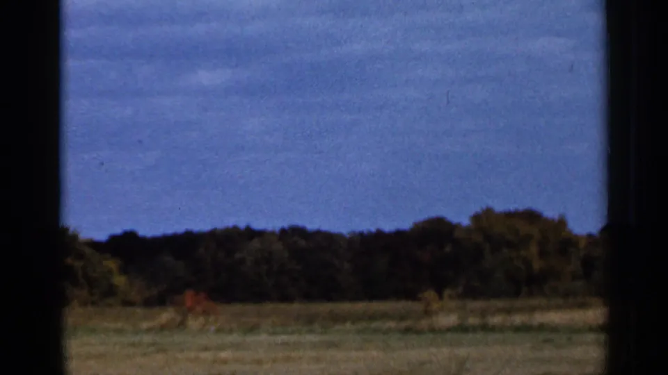Rural Sauk Centre, Minnesota, 8mm frame with a field, dark wooded horizon, patches of autumn color, and a broad blue sky.