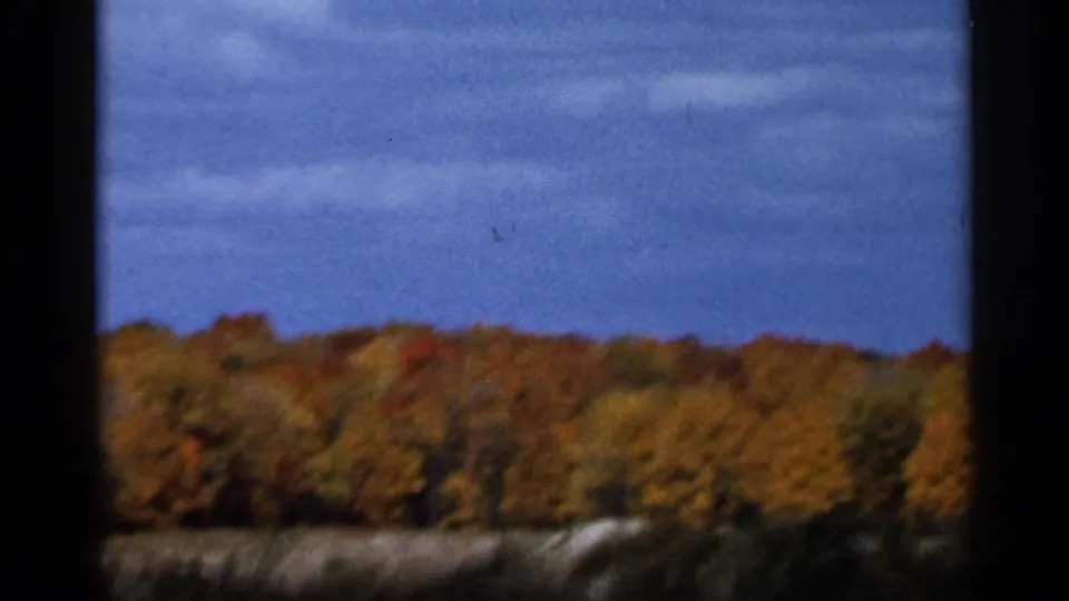 End frame from the 1966 8mm clip showing Sauk Centre countryside with yellow-orange trees, field, sky, and dark window-like borders.