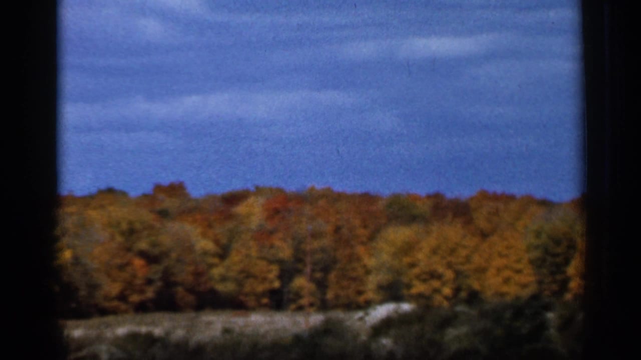 1966 Sauk Centre, Minnesota 8mm frame showing fall-colored woods and blue sky divided by a dark window edge.