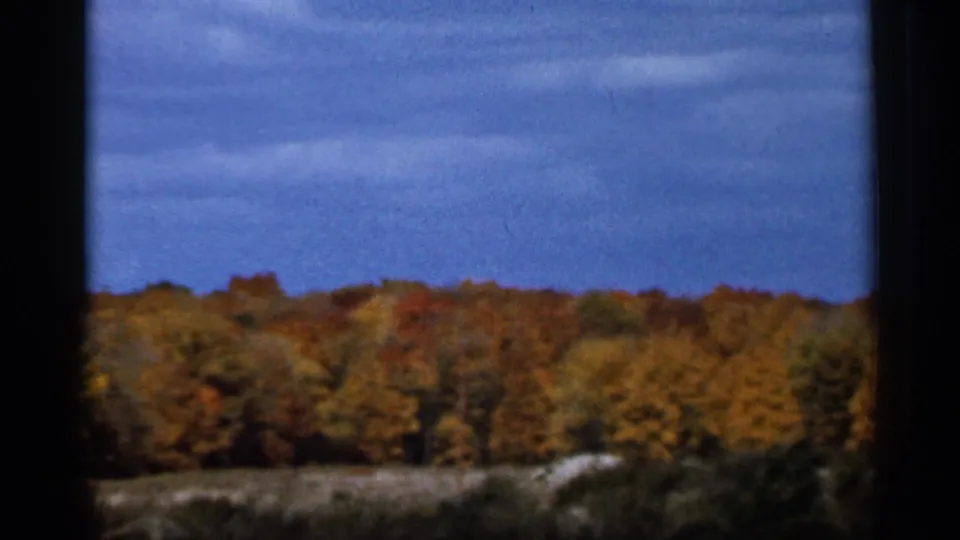 1966 Sauk Centre, Minnesota 8mm frame showing fall-colored woods and blue sky divided by a dark window edge.