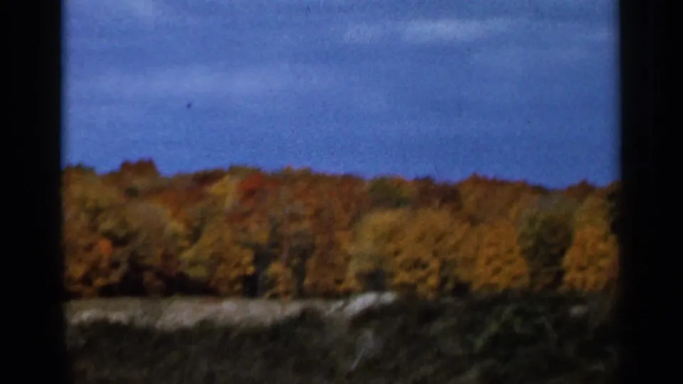 1966 Sauk Centre, Minnesota view of a tree-covered hill in autumn colors, with blue sky and dark window framing.