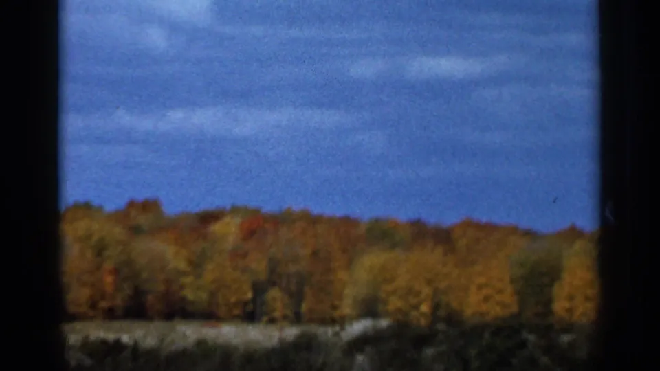 1966 Sauk Centre, Minnesota home-movie frame of fall trees and sky, softened by motion and 8mm grain.