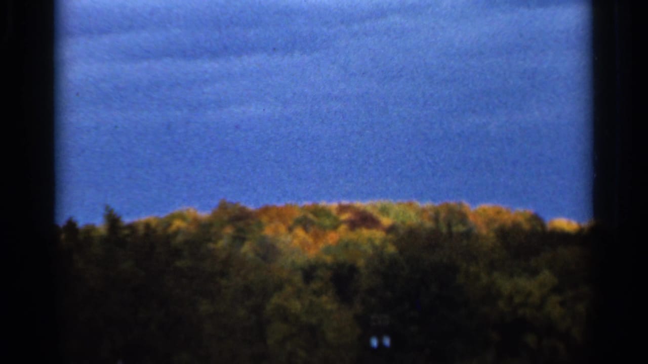Tree-lined hill and blue sky seen through dark vertical window borders.