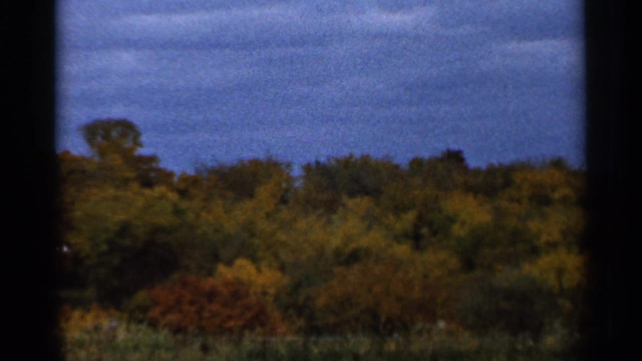 Autumn trees beneath a blue-gray sky, seen through film-frame edges.