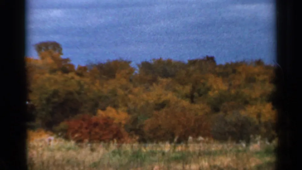 1966 Sauk Centre 8mm view of golden and orange autumn trees across dry grasses beneath a clouded sky.