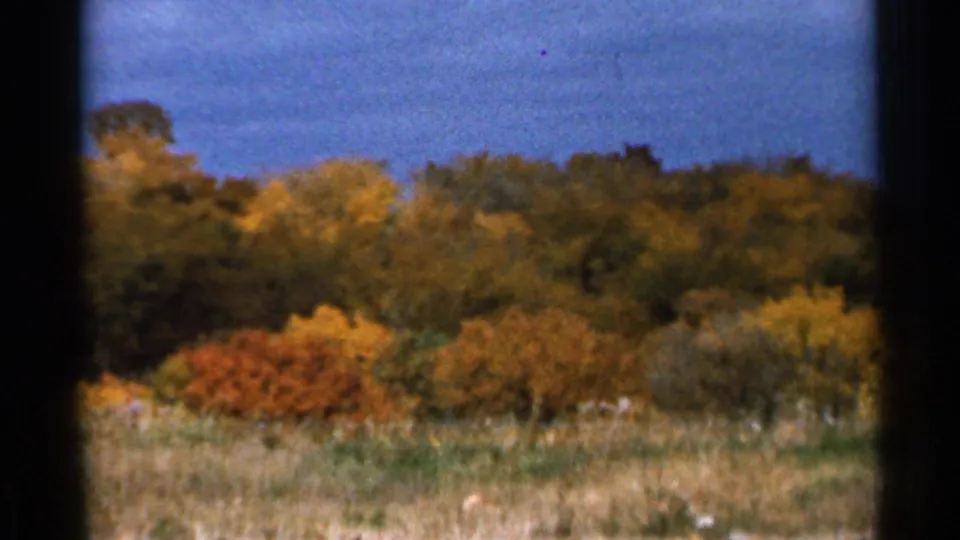 1966 Sauk Centre frame showing autumn trees and pale grasses under a dark, overcast sky from a moving viewpoint.