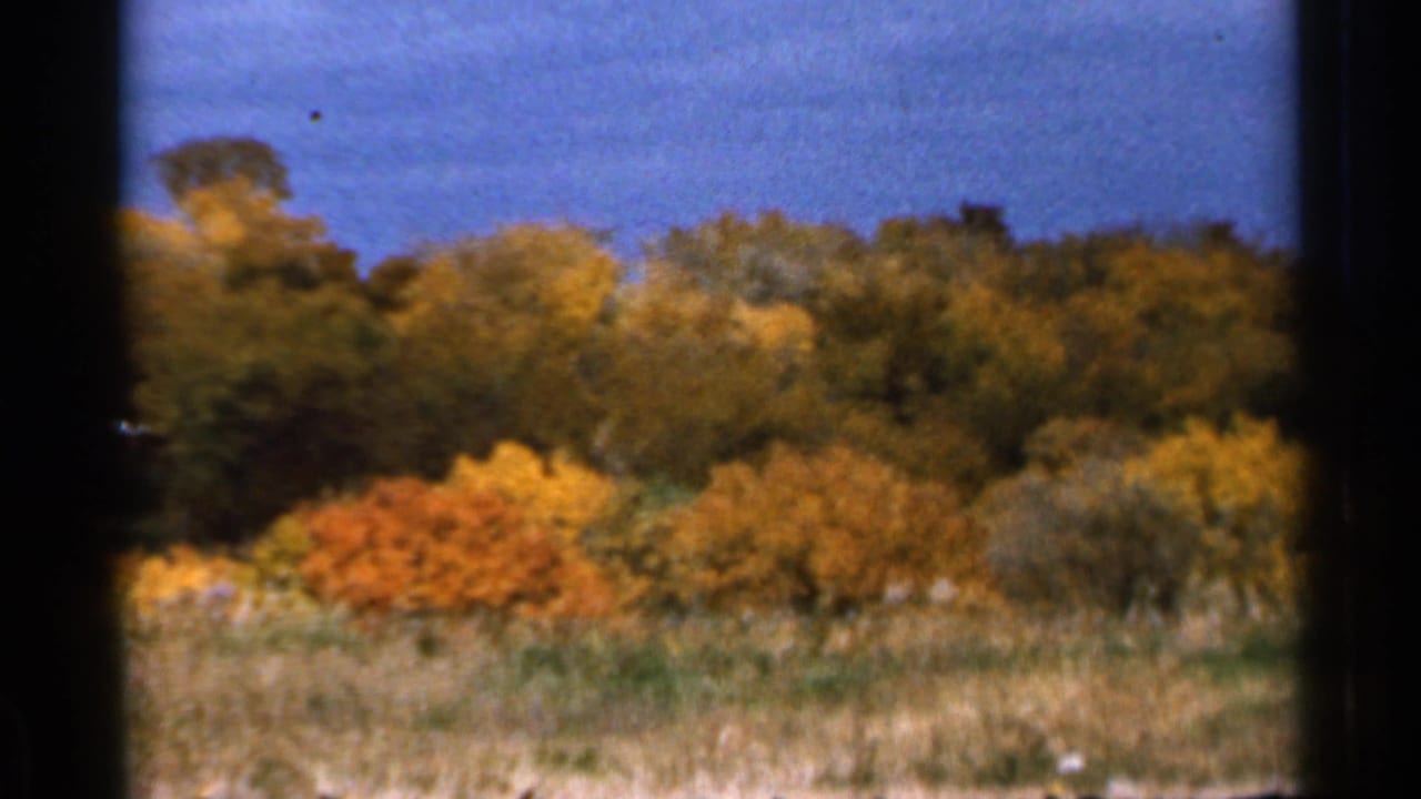 1966 Sauk Centre, Minnesota 8mm frame showing golden and orange fall trees beyond a grassy field, partly divided by dark window framing.