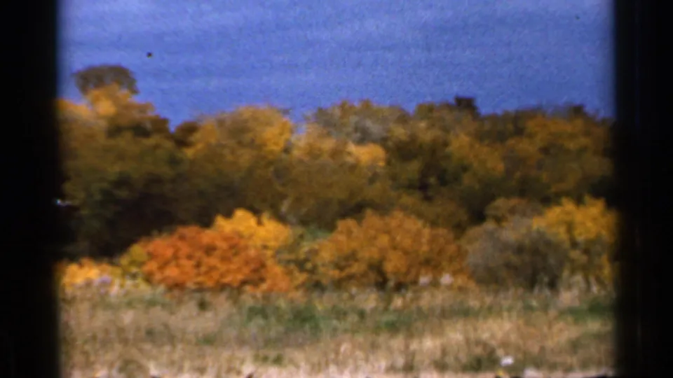 1966 Sauk Centre, Minnesota 8mm frame showing golden and orange fall trees beyond a grassy field, partly divided by dark window framing.