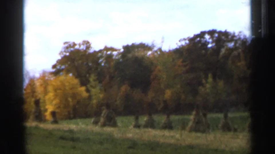 1966 Sauk Centre, Minnesota 8mm frame showing fall trees beside an open green field, with a bright cloudy sky and dark frame edge.