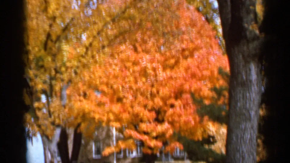 1966 Sauk Centre 8mm frame of bright orange fall foliage, yellow leaves, and a dark tree trunk near a partly hidden house.