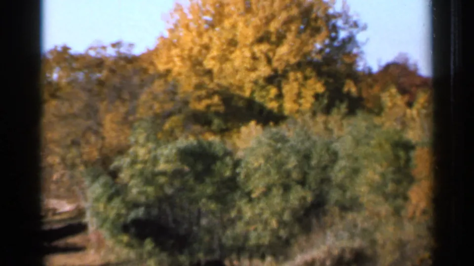 1966 Sauk Centre 8mm frame with yellow and red autumn foliage, green shrubs, blue sky, and dark rounded film-frame edges.