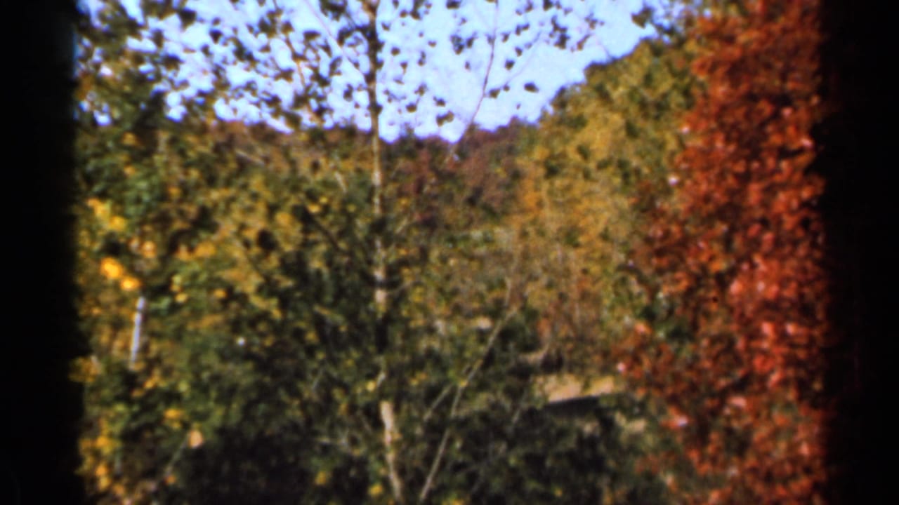 1966 Sauk Centre, Minnesota 8mm frame showing wind-stirred autumn trees, red foliage at right, and dark film border edges.