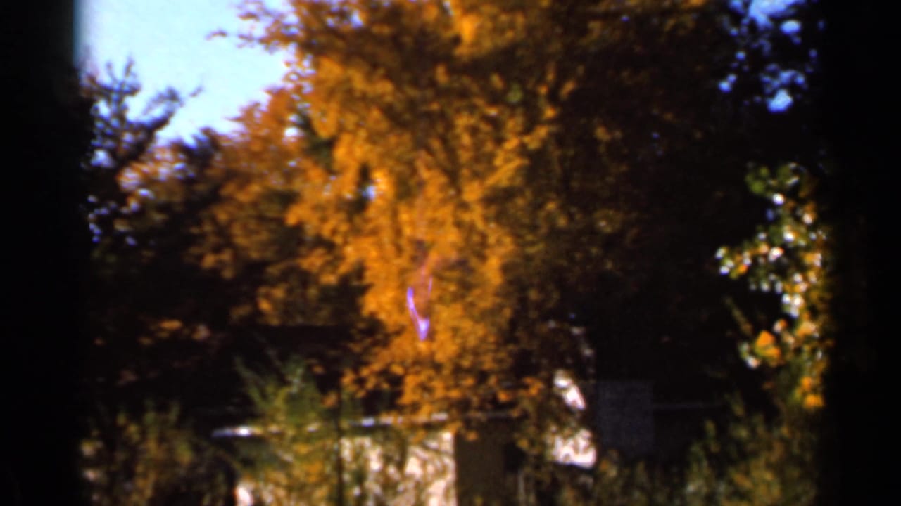 1966 Sauk Centre home-movie frame showing golden foliage, blue sky, dark trunks, and a reflective water edge.
