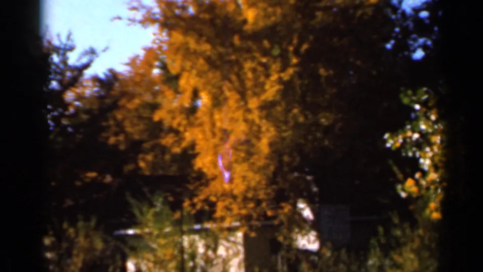 1966 Sauk Centre home-movie frame showing golden foliage, blue sky, dark trunks, and a reflective water edge.